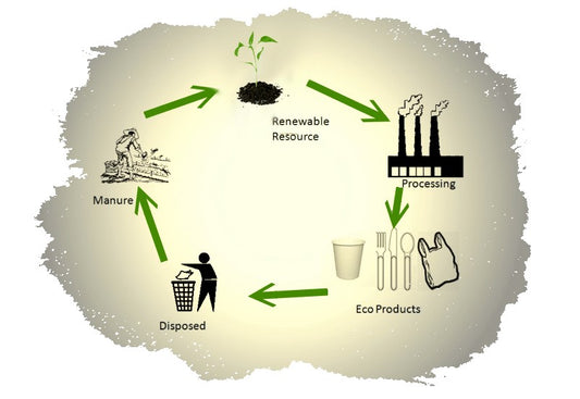 Why You Should Switch to Eco-Friendly Cleaners?